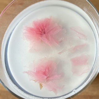 桜の花びらのココナッツミルクゼリー